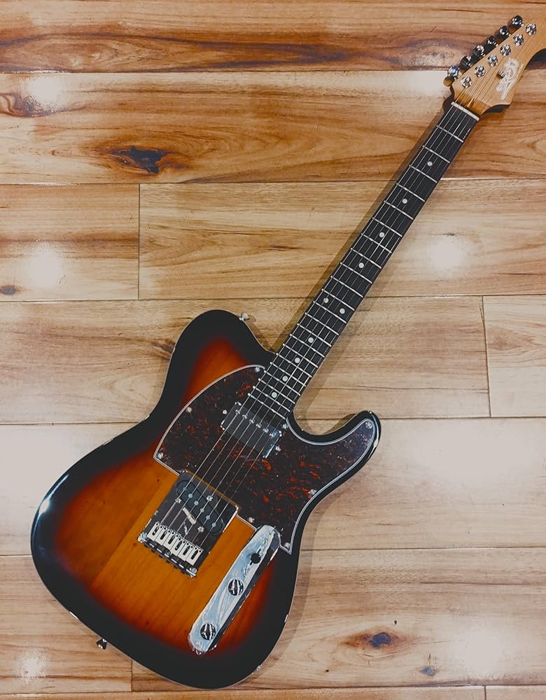 ギター DeliciousTaylormade BEEAROUND NKT DeliciousTaylormade “NKT”BeeAround - メルカリ